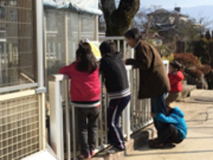 動物園で動物ウォッチ