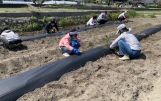 5月より畑の野菜作り(農業体験活動)が始まりました